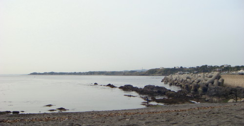 Dsc00924_1 Dsc00924_1