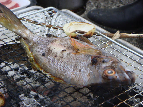 Dsc00928 Dsc00928