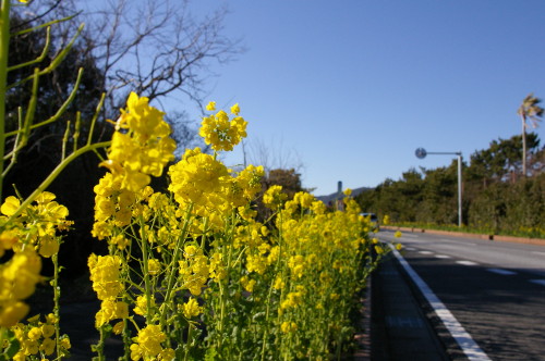 Imgp1157_1