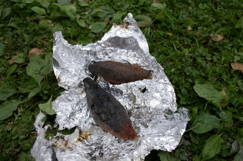 Imgp2036_1