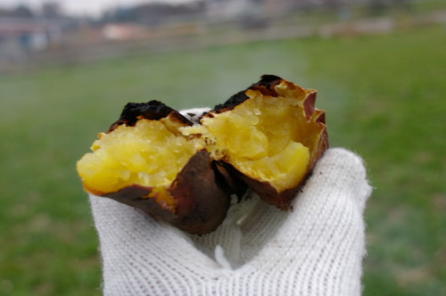 Imgp2037_1