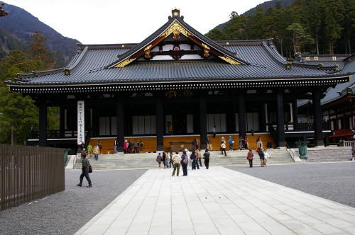 Imgp2231_1_1
