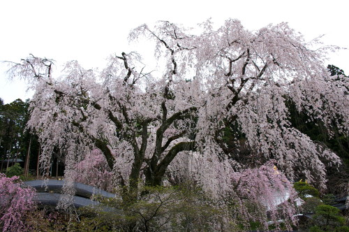 Imgp2242_1_1