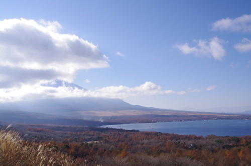 Imgp0456_1