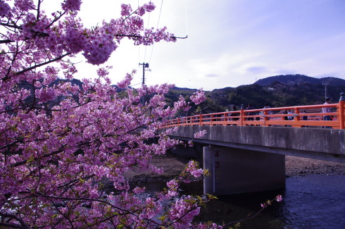 Imgp0800_1