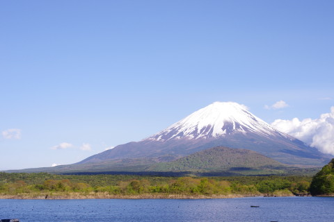 Imgp1684_1