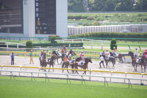 Imgp1881_1