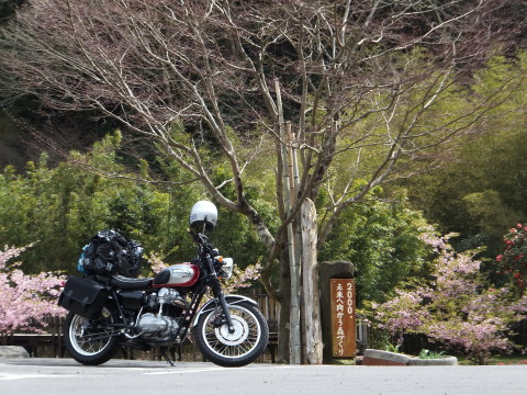 Dscf0713_1