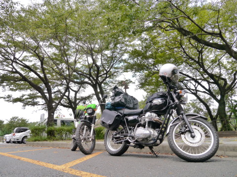P1000495_1 P1000495_1