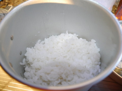 P1000506_1