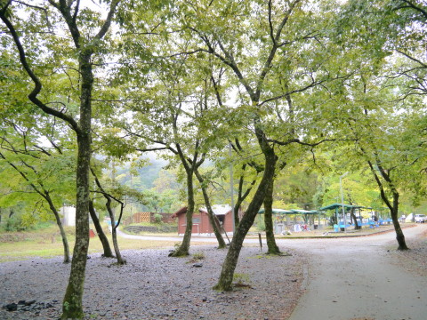P1000673_1_2