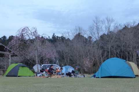 P1000095_1