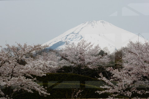 P1000121_1