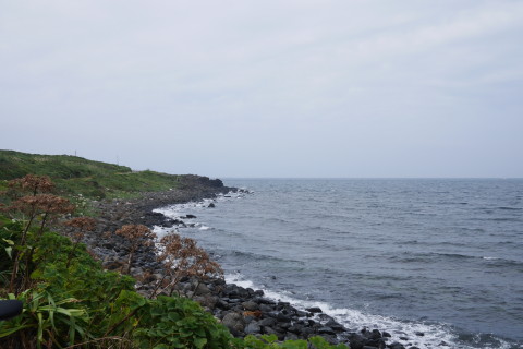 P1010093_1