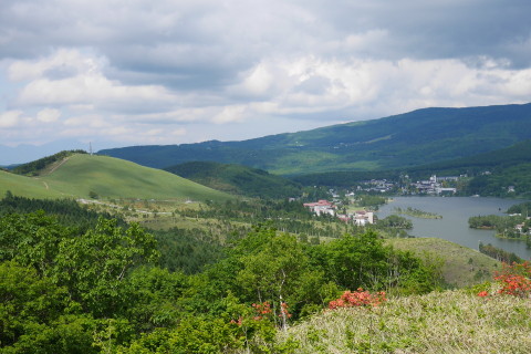 P1020239_1