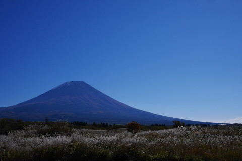 P1020875_1