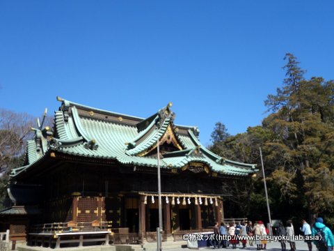 1dsc01774