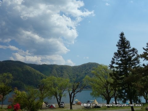 西湖自由キャンプ場の湖畔サイト