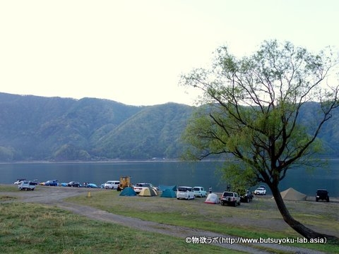 ▲「西湖自由キャンプ場」の湖畔サイト
