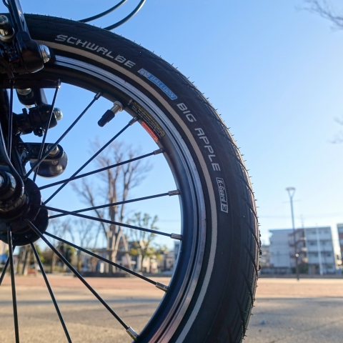 SCHWALBE(シュワルベ) ビッグアップル 14 x 2.0